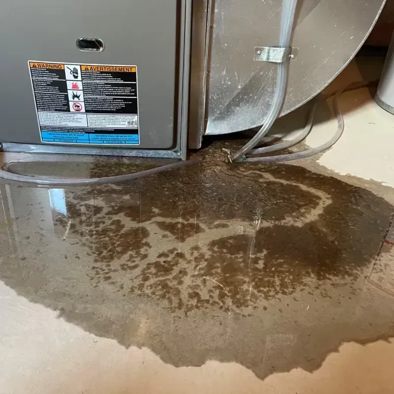 Appliance Leak Cleanup in Hanover County, VA